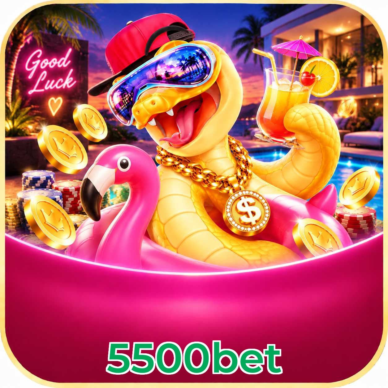 5500bet Game Stats